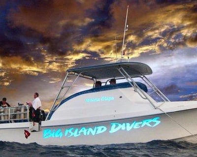 Twilight & Manta Ray 2-Tank Dive in Kona