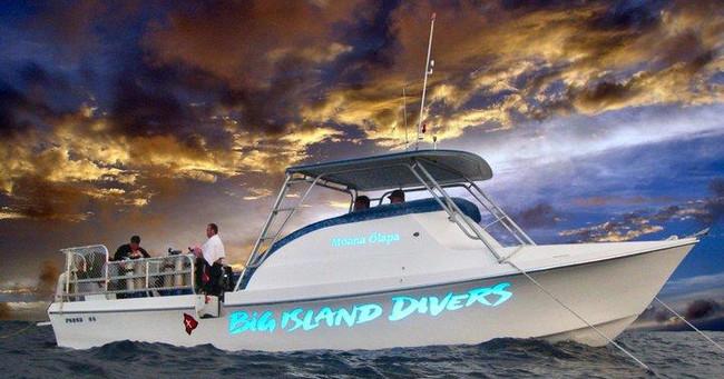 Twilight & Manta Ray 2-Tank Dive in Kona