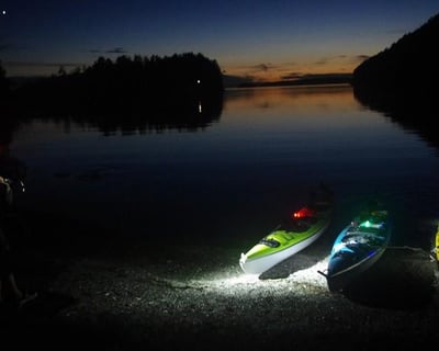 Bellingham Bioluminescence Kayak Tour