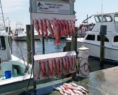 8-Hour Destin Fishing Charter