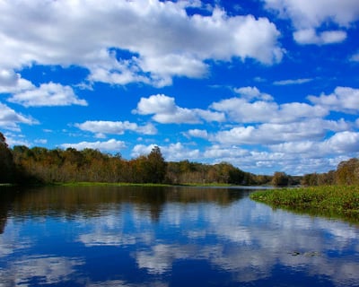Explore Withlacoochee Wetlands on a 1-Hour Airboat Tour