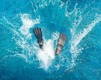 Two-Location Scuba Dive & Snorkel Trip in Key Largo