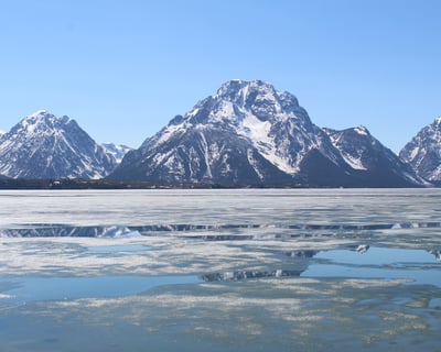 Grand Teton National Park 4-Hour Guided Tour