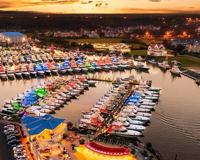 White Marlin Open Harbor Cruise with Yacht Views