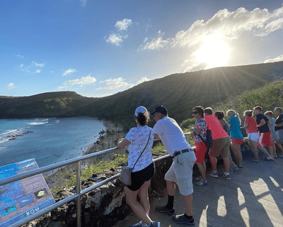 Small Group Oahu Island Tour with Free Pineapple