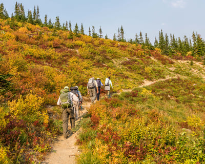 Guided Firebrand Pass Hike in Glacier National Park