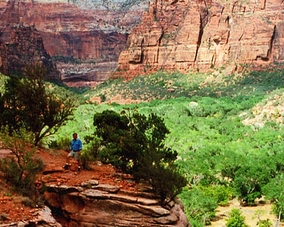 Zion National Park Guided Tour From Las Vegas
