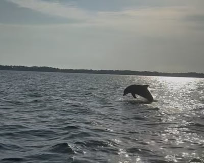 3-Hour Bay Cruise in Santa Rosa Beach