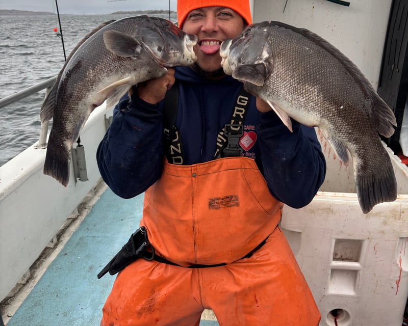 Limited Load Blackfish & Tog Fishing Trip in Newport, RI
