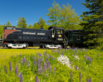 Hancock 10-Mile Historic Train Ride