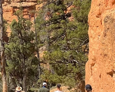 3-Hour Horseback Ride in Red Canyon