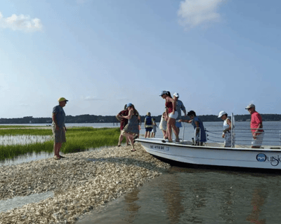 Dolphin & Beachcombing Cruise in Hilton Head