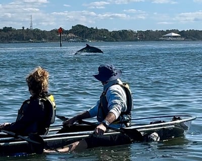 Sarasota Clear Kayak Tour