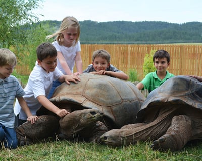 Rapid City Reptile Gardens Admission