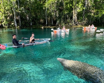 Guided Clear Kayak Tour at Silver Springs