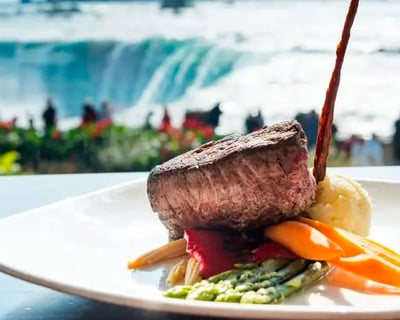 Explore Niagara Falls Cruise & Fallsview Lunch Tour