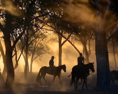 Ride a Sunset Horse Trail in Clermont