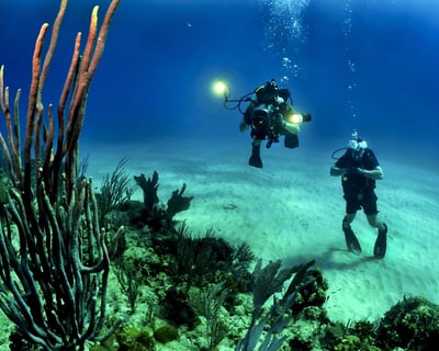 Discover Scuba Dive in Honolulu