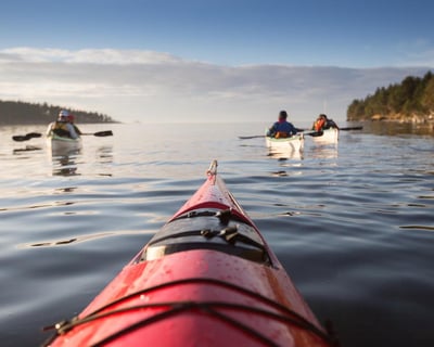 3-Hour Guided Sea Kayak Tour at Larrabee State Park