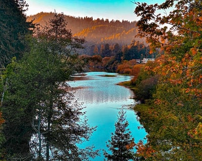 Sonoma County Gourmet Picnic with Private Chef