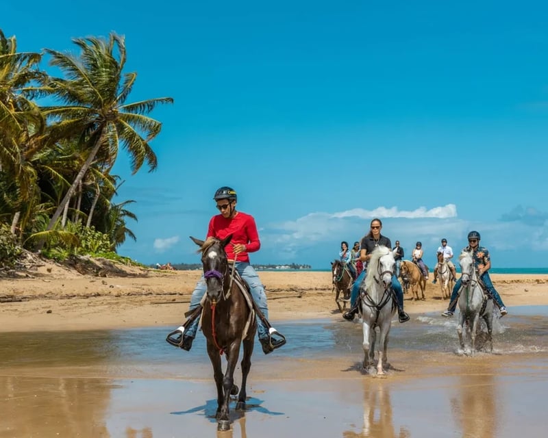 Tropical Horseback Riding Tour in Luquillo, Puerto Rico