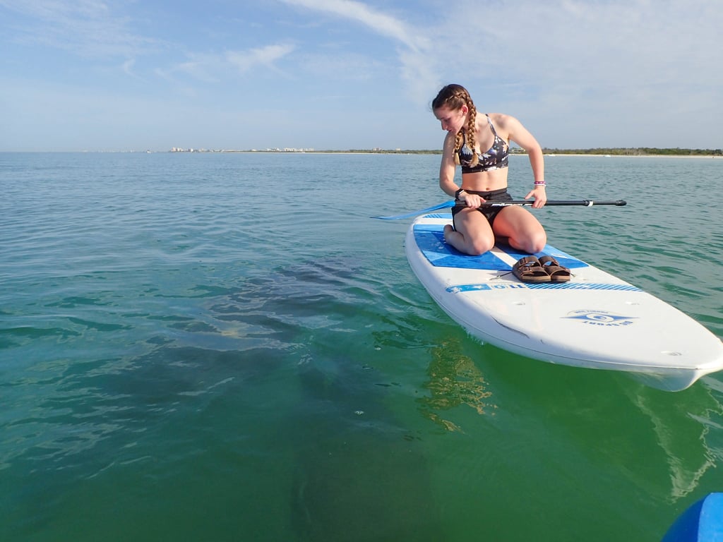 Naples Mangrove Kayak Tour with Dolphin Watching
