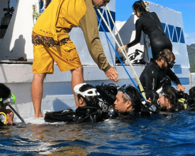 Honolulu Scuba Diving: 40 to 120 Ft Boat Dive