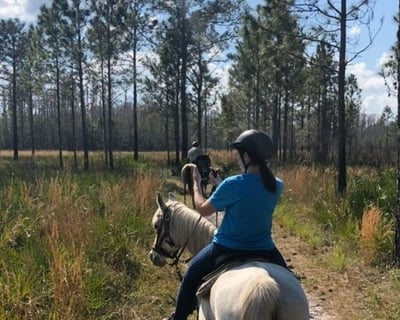 Guided 1.5-Hour Horseback Trail Ride at Lake Louisa State Park