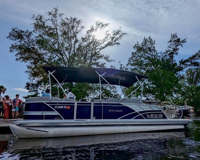 2-Hour Private Sarasota Sightseeing Cruise