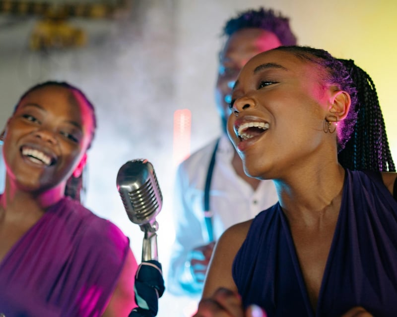 Private Karaoke Party With Live Host in Denver Metro