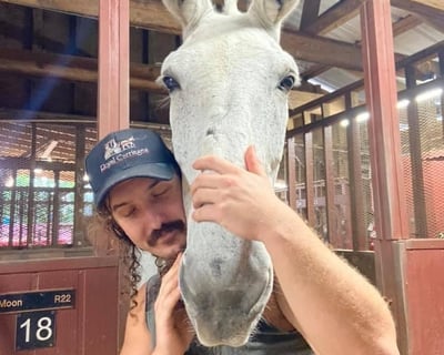 Mules in New Orleans Barn Tour