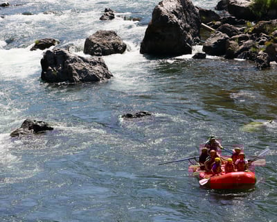 Willow Creek Rafting with Lunch & Wildlife