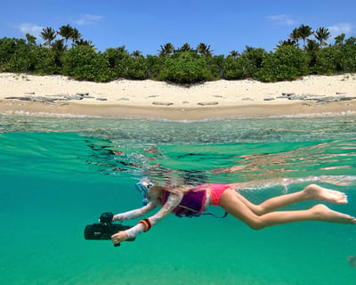 Semi-Private Jet Snorkel Tour in Panama City Beach