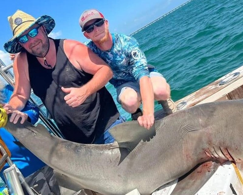 Shark Fishing Charter in Marathon, Florida Keys