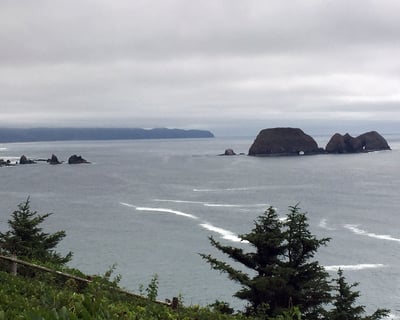 Explore Oregon's Northern Coast Three Capes Day Trip
