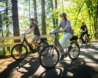 Self-Guided E-Bike Combo Ride: Mt. Views, Orchards & Tunnels