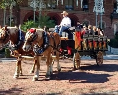 Christmas Carriage Ride at Henry B. Plant Museum