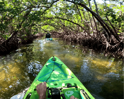 Emerson Point Preserve Pedal Kayak Tour