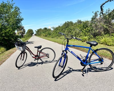 Sarasota 1-Day Comfort Bike Rental