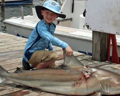 4-Hour Shark Fishing Charter in Destin