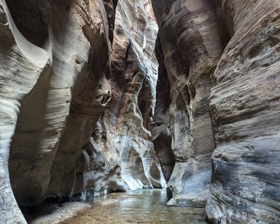 Guided Zion Narrows Hike in Zion National Park