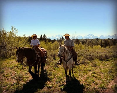 Private Horseback Trail Ride Near Grand Teton National Park
