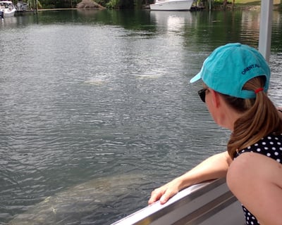 Manatee Wildlife Viewing Boat Tour in Kings Bay