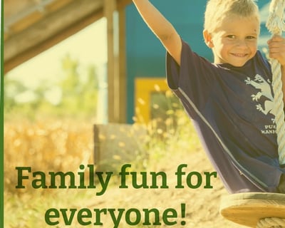 Manhattan Pumpkin Patch & Fun Zone