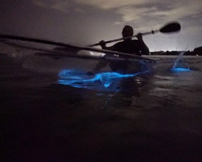Clear Kayak Bioluminescence Tour