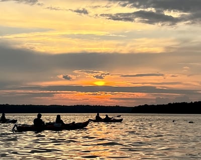 Sunset Tour in Frenchmen's Bay