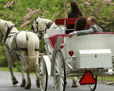 Dahlonega Country Carriage Ride