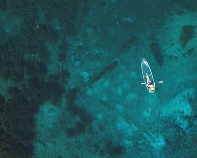 Guided Clear Kayak Tour in Silver Springs