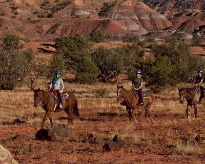 O’Keeffe Landscape Horseback Trail Ride