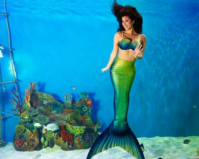 Mermaid Tank Dive in Lecanto